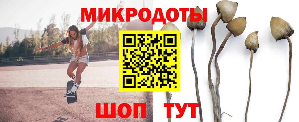 Галлюциногенные грибы MAGIC MUSHROOMS  Галлюциногенные грибы Psilocybe  Благодарный  закладки  Вход с VPN 