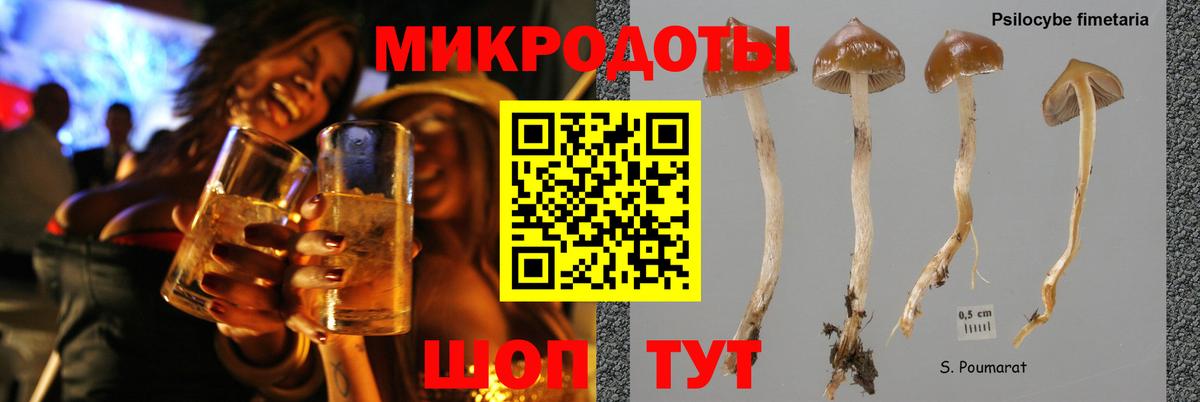 Галлюциногенные грибы Magic Shrooms Благодарный